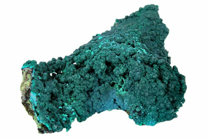 Brilliant Blue-Green Chrysocolla on Quartz - Tentadora Mine, Peru #169251
